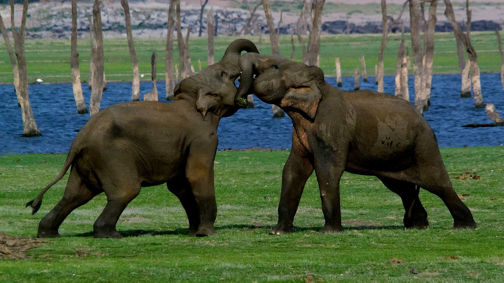 The Battle Of The Titans