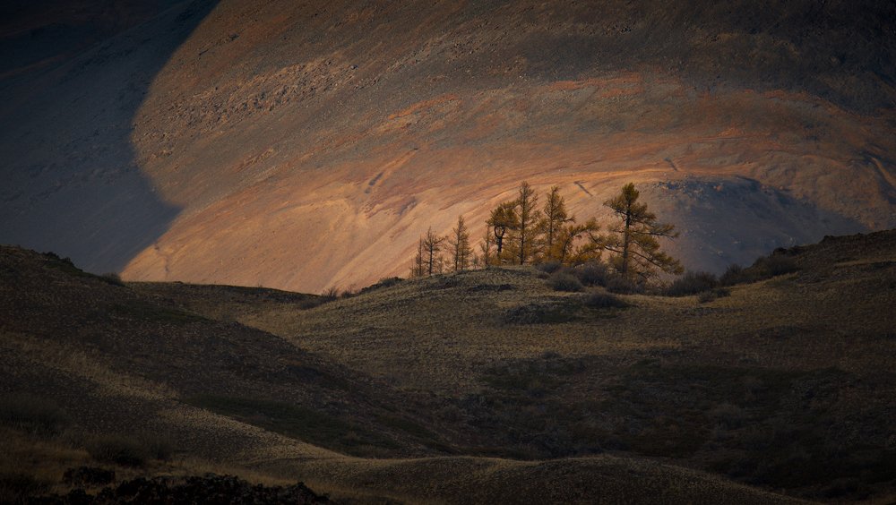 Photograph by Николай Степаненко