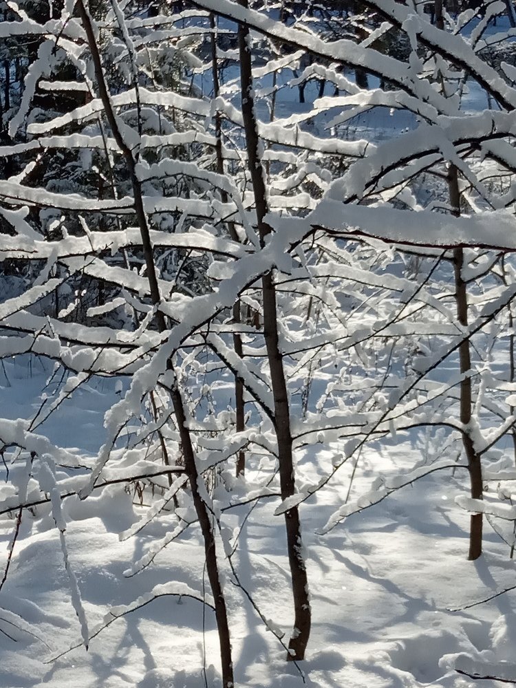 Photograph by НИНА АВЕРЬЯНОВА