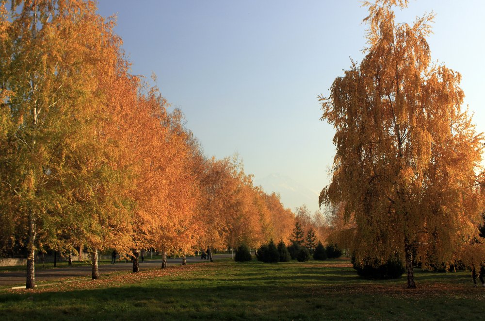 Photograph by Аля Портных