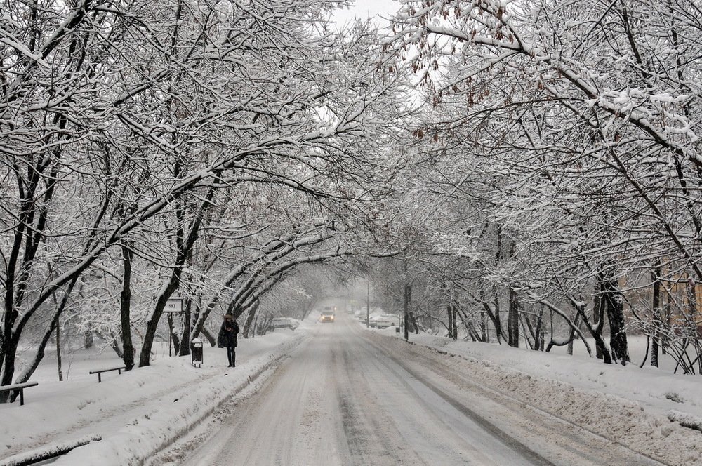 Утро после метели