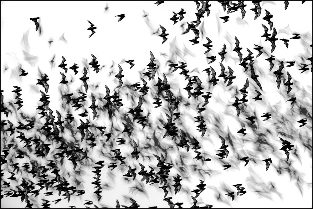 Свет и тьма.