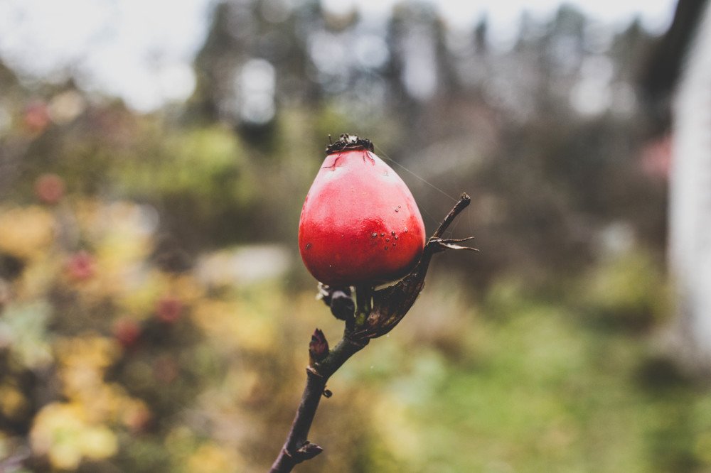 Photograph by Александр Забавка