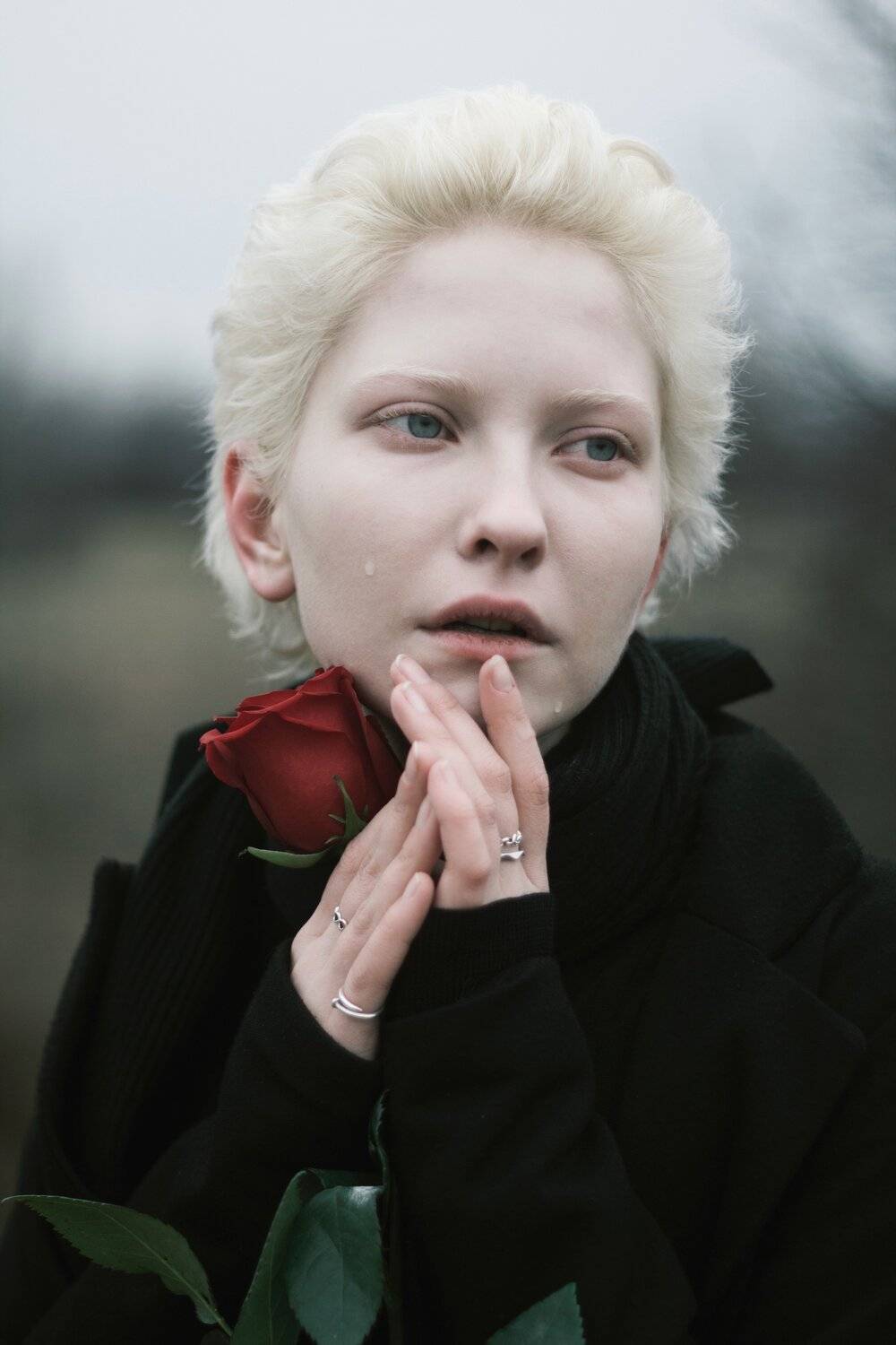 Photo #4305230