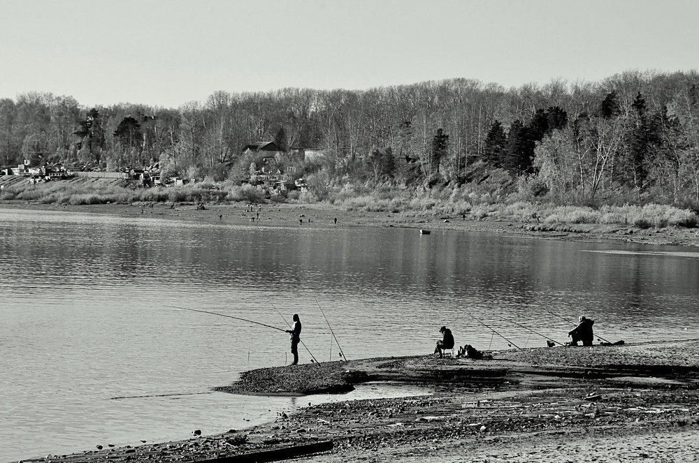 Photograph by НИНА АВЕРЬЯНОВА