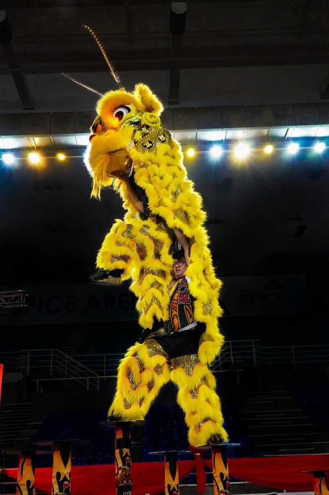 High Pile Lion Dance