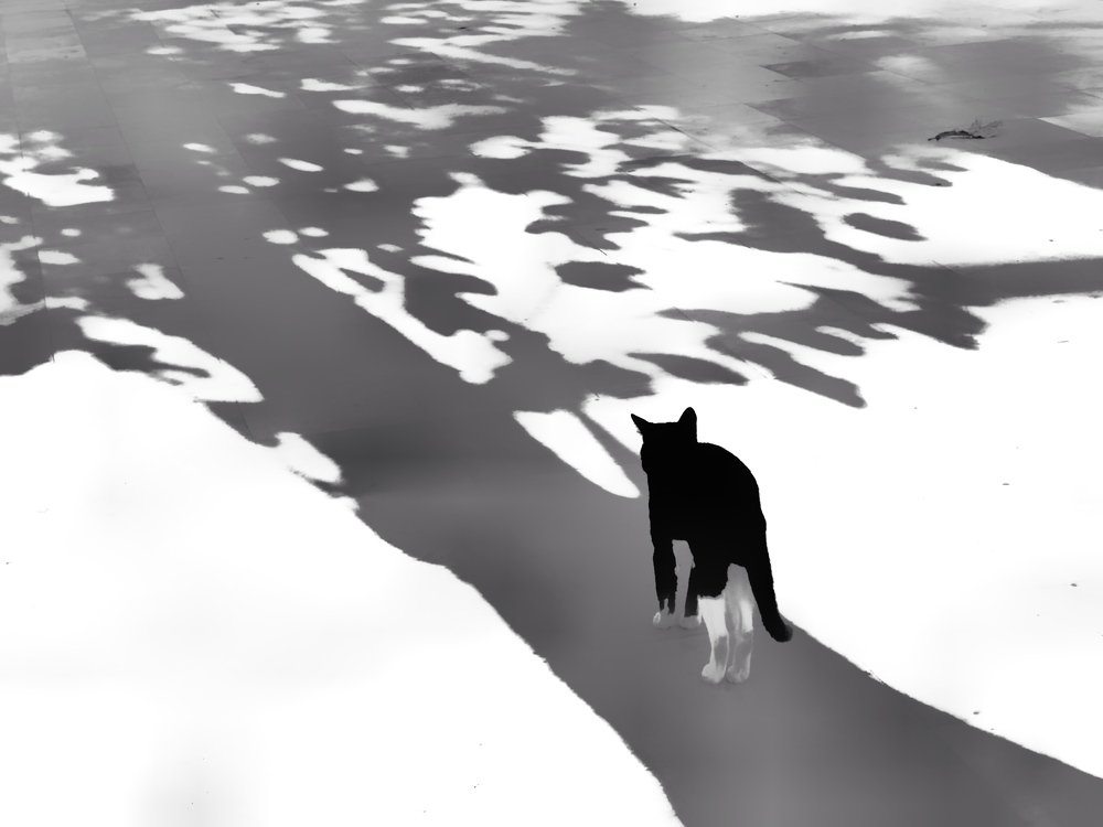 Photograph by Hellen de Carvalho