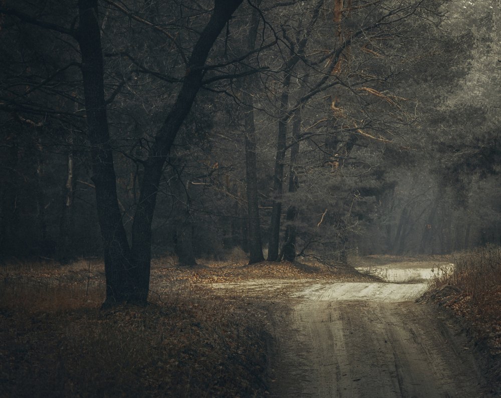 Photograph by логинов денис александрович