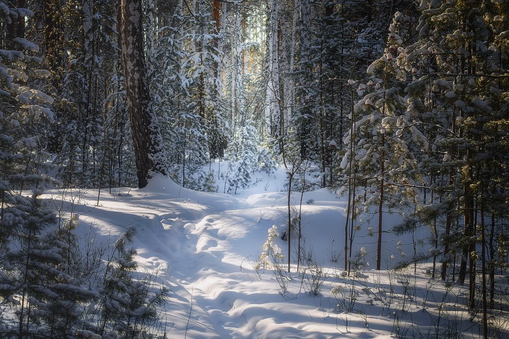 Photograph by Сергей Приходько