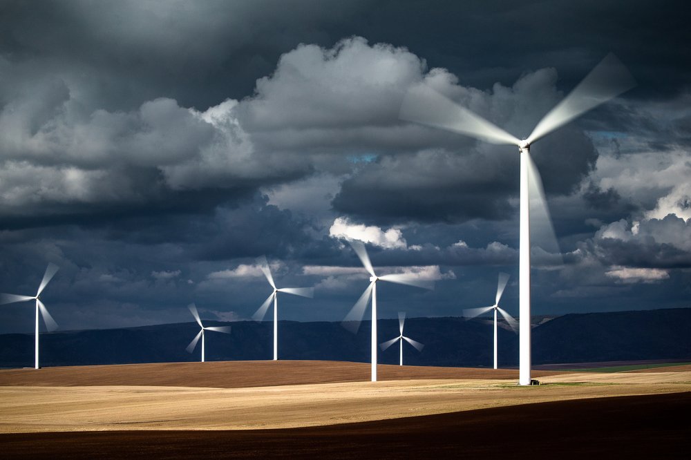 Photograph by Cinthia Paranhos