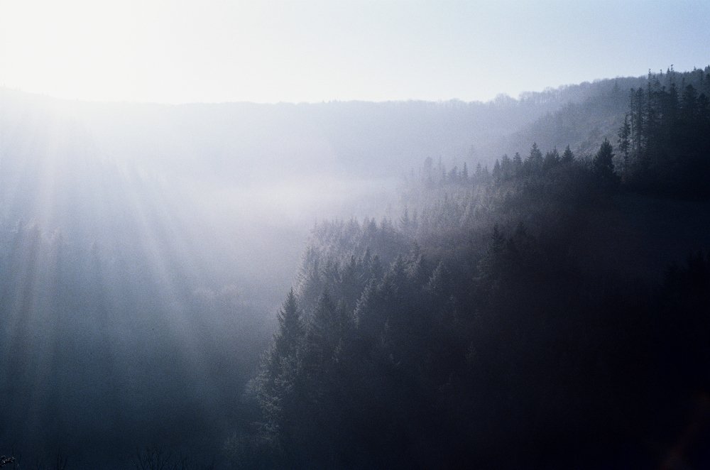 Photograph by Станислав Аникин