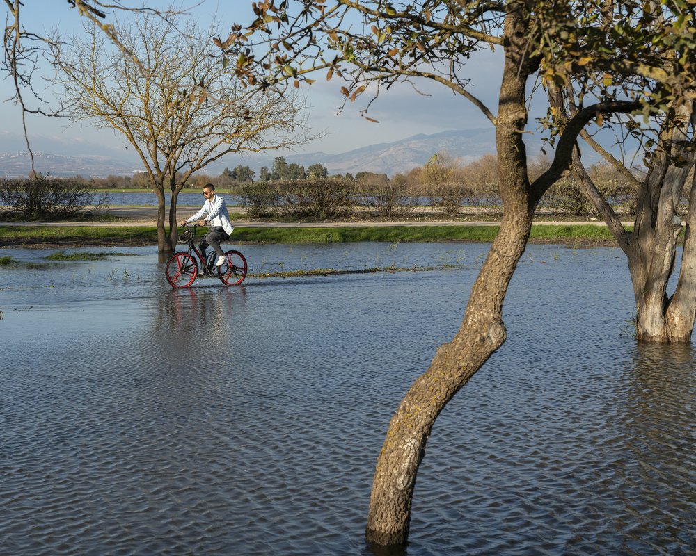 Photograph by Genadi Cobzar