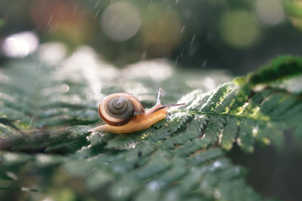 Photograph by Татьяна Пименкова