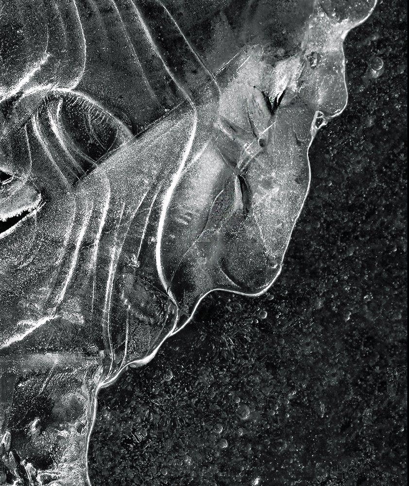 МЫСЛИТЕЛЬ. Из серии "Сказки льда"