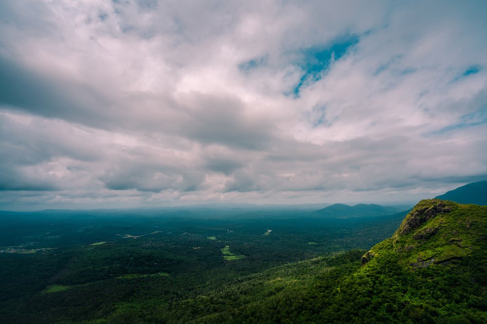 Elephant's View
