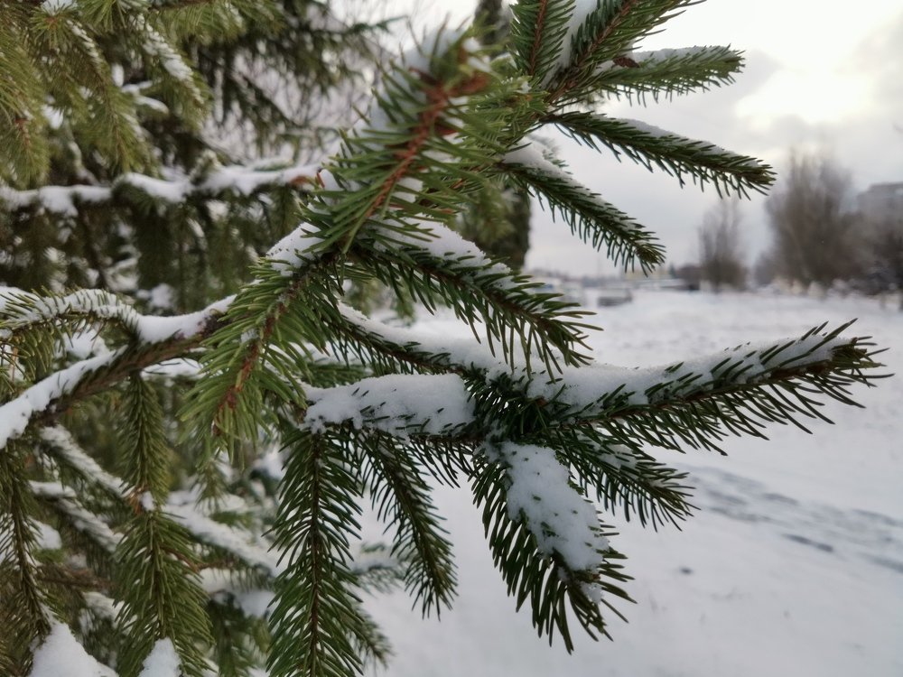 Photograph by Александр Костин