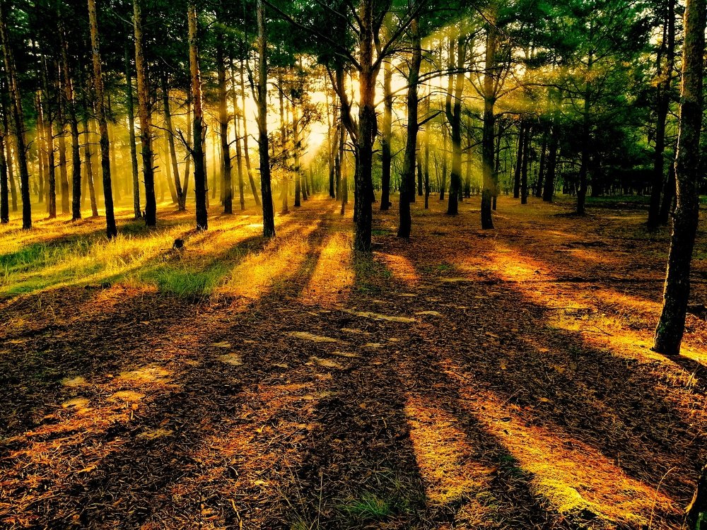 Photograph by Павел