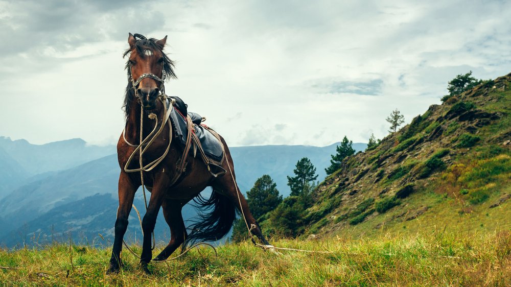Photograph by Ирина Бондаревская