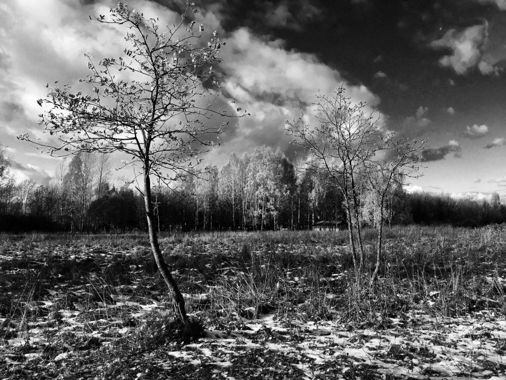 The first snow/Первый снег.