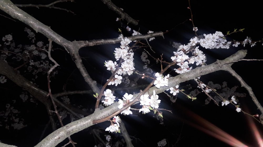 Photograph by Марина Шульга