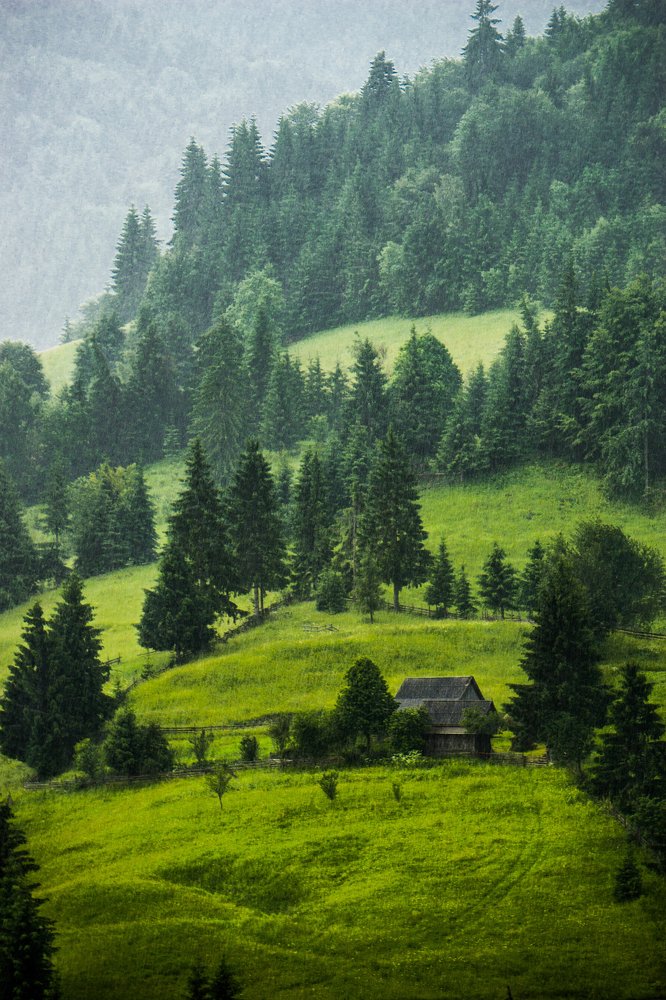 Photograph by Catalin Arcu