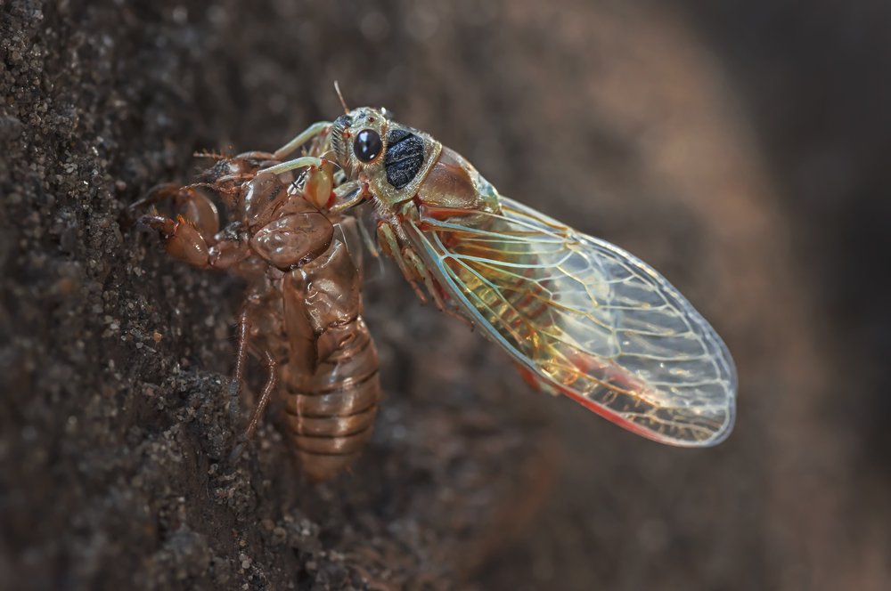 Photograph by Тараненко Анжелика