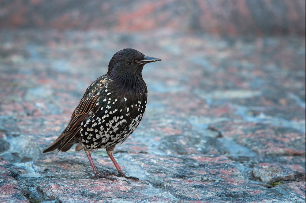 Photograph by Александр