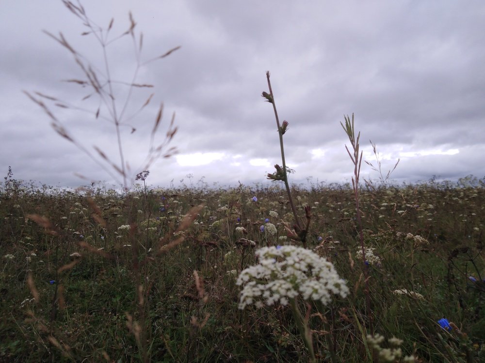Photo #4306286