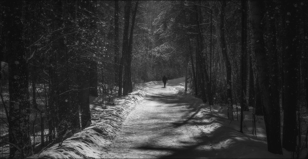 Photograph by Сергей Приходько