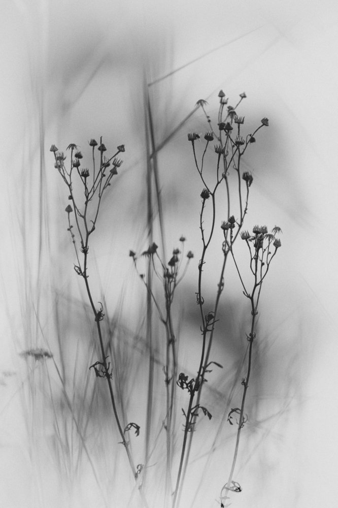 Photograph by Михаил Жиркин