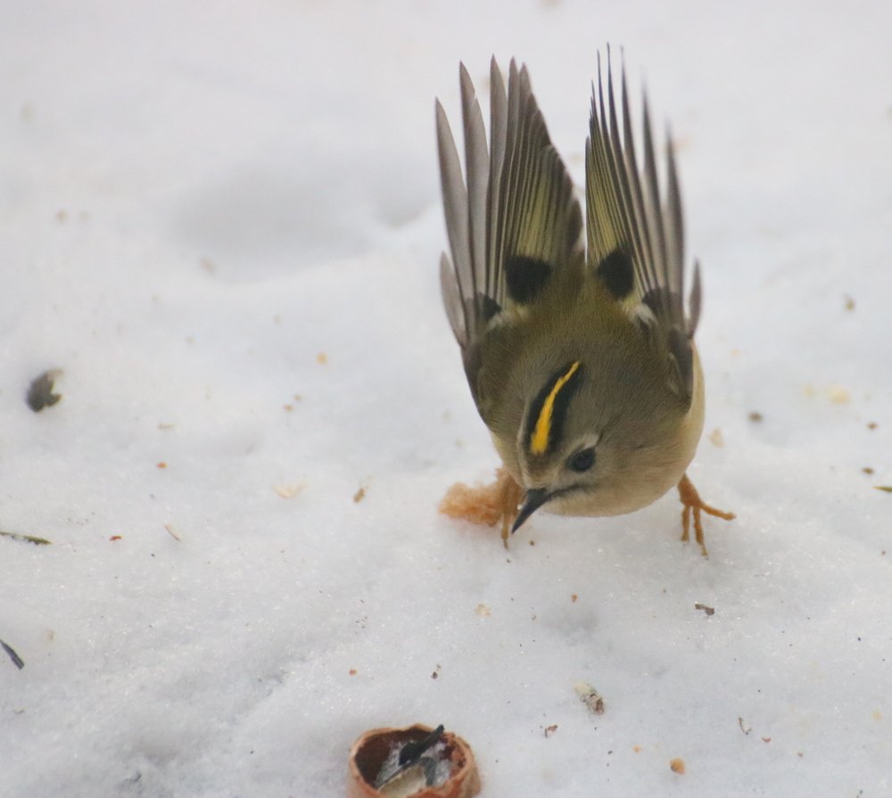Photograph by Евгения Малафеева