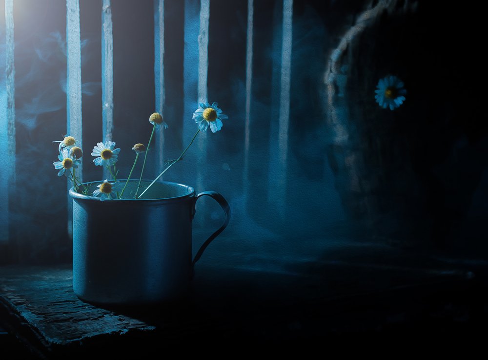 Photograph by Артём Комяков