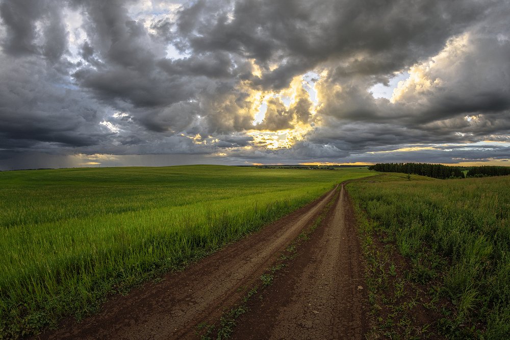 Photograph by Сергей Приходько