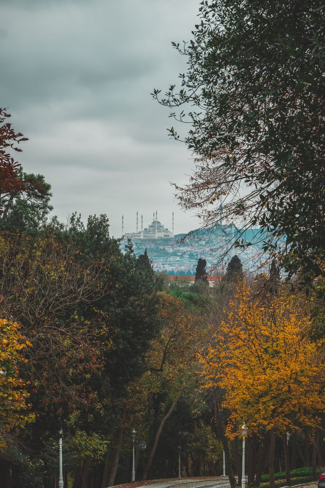 Photograph by Платон Матакаев