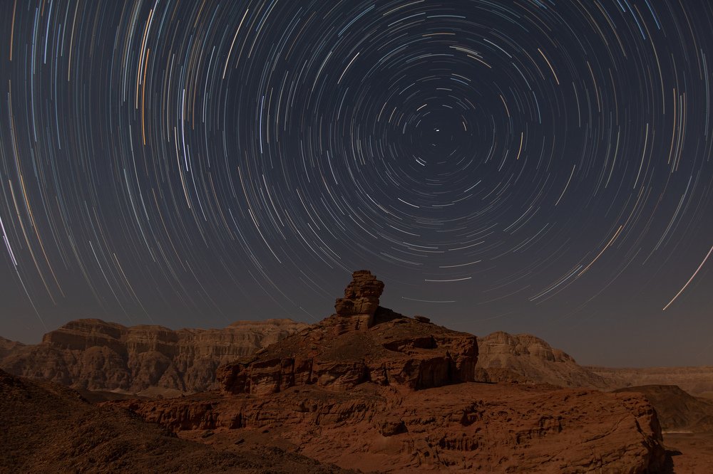 Photograph by Dori Darvish