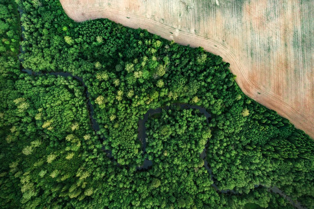 Photograph by Gatis Vilbrants