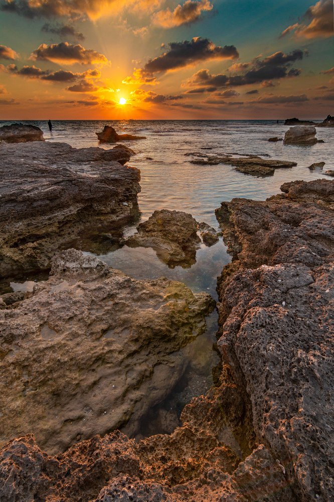 Photograph by Dori Darvish