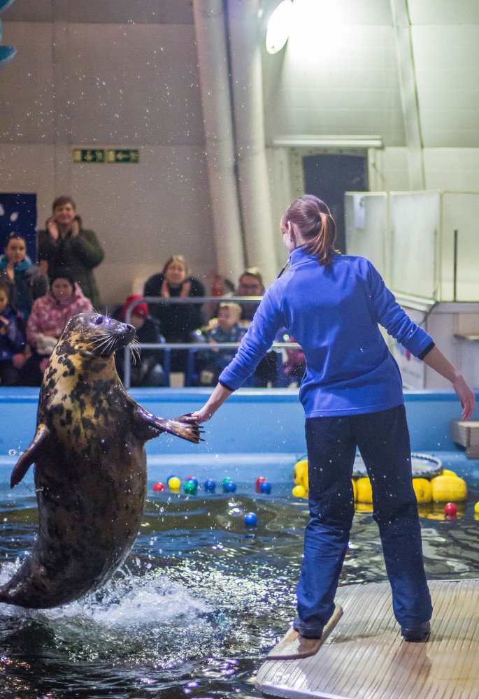 Photograph by Антон