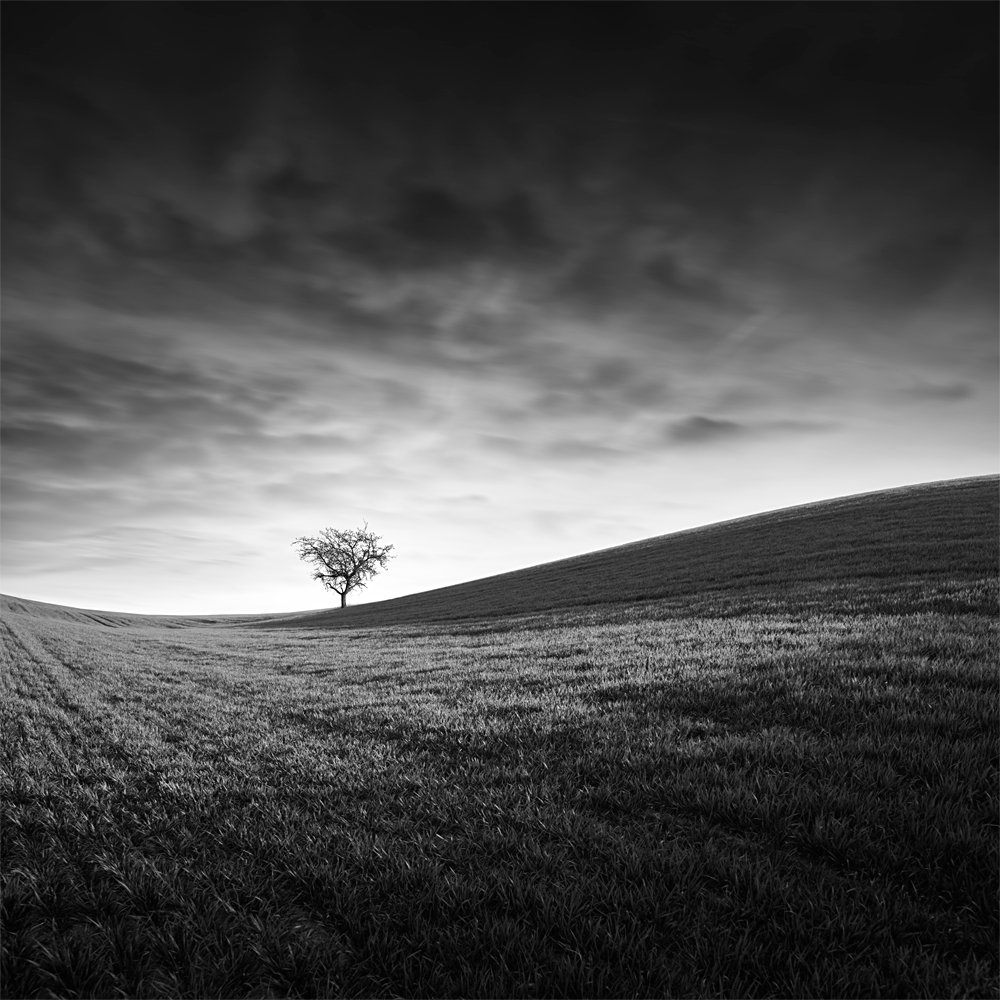 Photograph by Tomas Tison