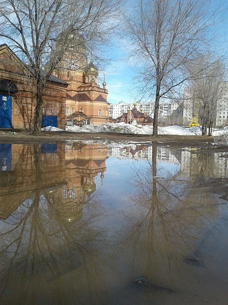 Photo #4306578