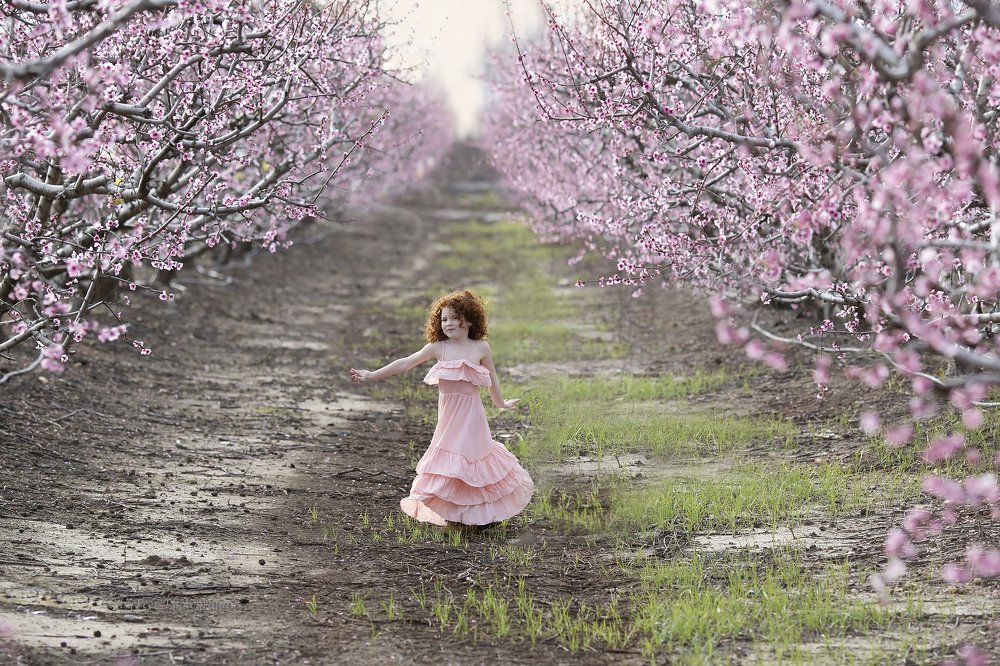 Photograph by Libby Peer