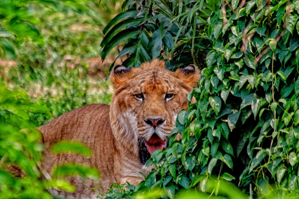 Photograph by Мари Полищук