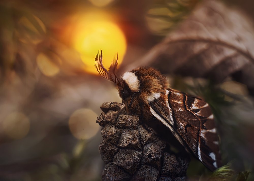 Photograph by Анастасия Третьякова