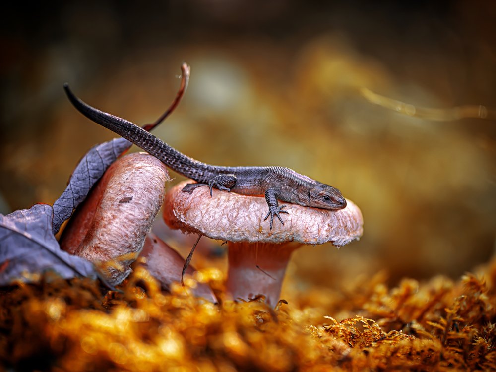 Photograph by Анастасия Третьякова