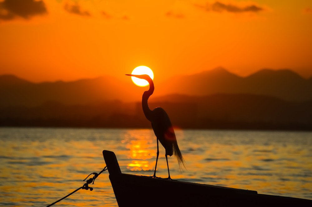 Photograph by Andre Nunes