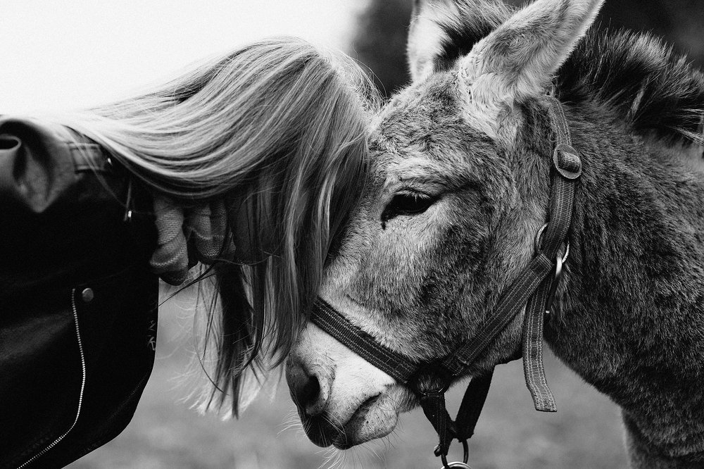 Photograph by Елена Пашкова