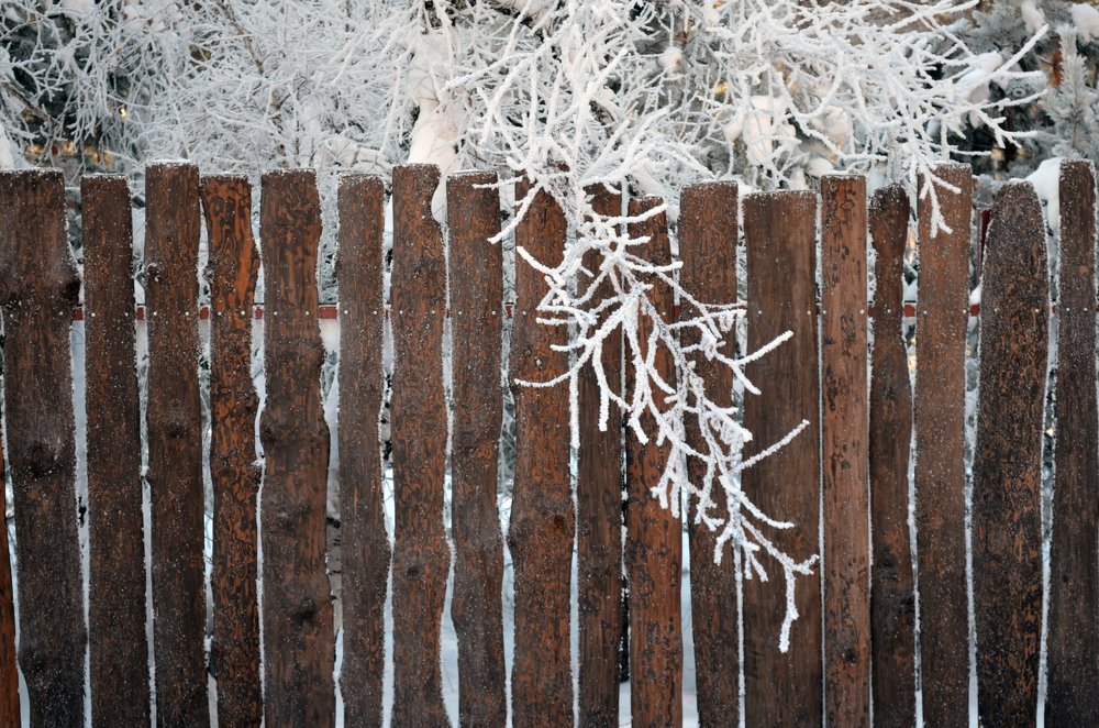 Photograph by Татьяна Герасимцева