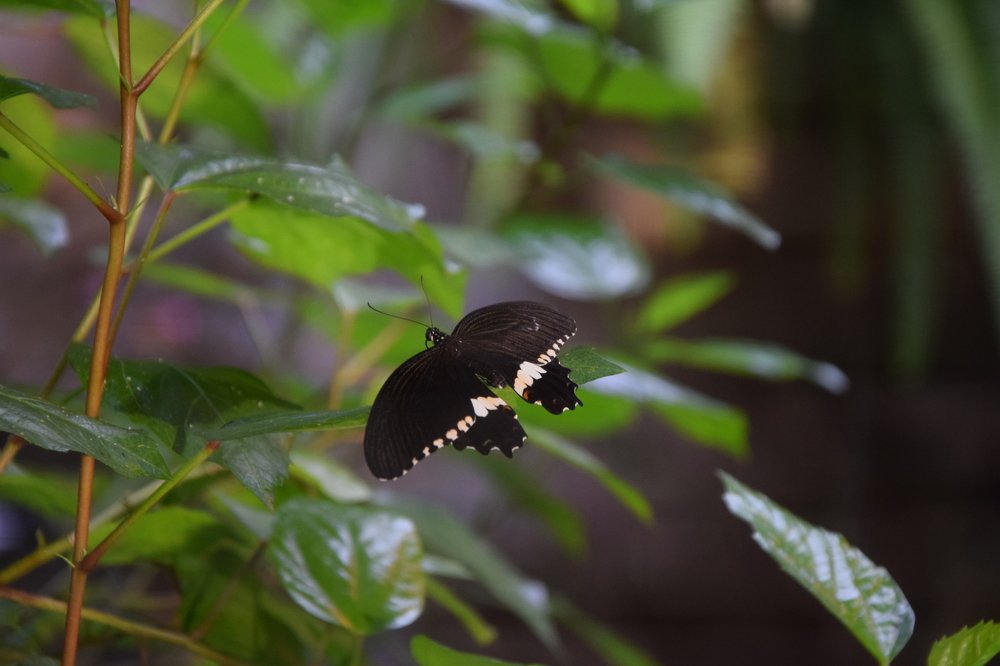 Photograph by Belkova Marina