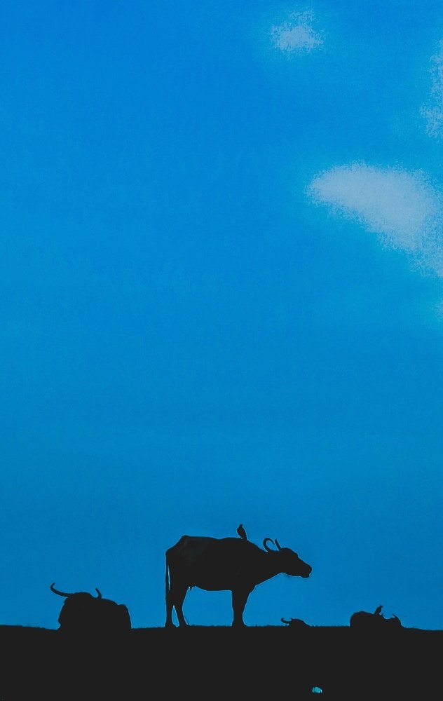 Photograph by Mitun Habiba