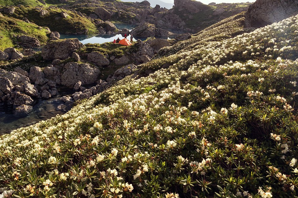 Photograph by Виктор